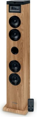 Enceinte Bluetooth THOMSON Tour de son Thomson DS122CD - 60W - Mult