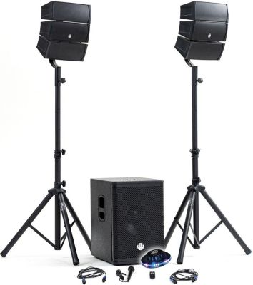 Pack sono BM SONIC Pack Sono DJ 1000W complet BM SONIC BMS-