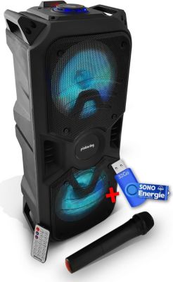 Enceinte nomade PICKERING autonome CX6 avec clé USB