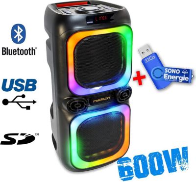 Enceinte nomade MADISON MAD-NASH60,2x 8"/20cm - 600W