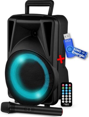 Enceinte sono FESTISOUND FESTI08 200w
