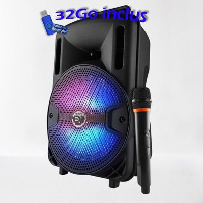 Enceinte sono MYDEEJAY DJOON08 400w+clé USB