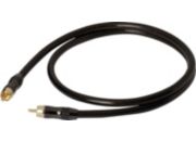 Câble subwoofer REAL CABLE subwoofer 2metres
