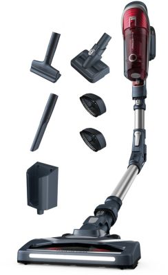 Aspirateur Balai Rowenta X-Force Flex 8.60 Animal Reconditionné