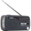 Radio FM MUSE MH-07 DS