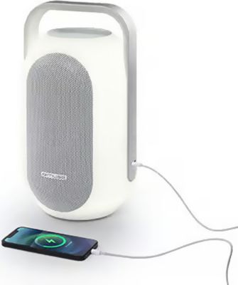 Enceinte nomade PICKERING Bluetooth