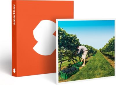 Coffret cadeau SMARTBOX À la découverte de nos vignobles Coffret cadeau SMARTBOX À la découverte de nos vignobles