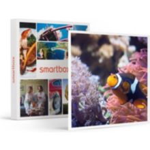 Coffret cadeau SMARTBOX Visite de l’Aquarium Sea Life de Val d’E