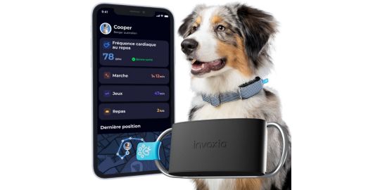 Collier INVOXIA Minitailz pour chien