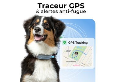 Collier INVOXIA Minitailz pour chien