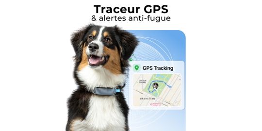 Collier INVOXIA Minitailz pour chien
