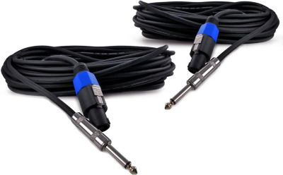 SOUNDLAB 2 Câbles Jack 6,35mm /Speakon mâle 10 m