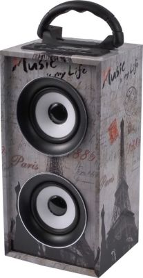 Enceinte Bluetooth IBIZA Colonne autonome USB/SD/AUX/BLUETOOTH/FM