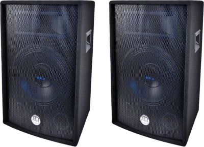Enceinte sono BM SONIC Enceintes passives 2x300W 30cm