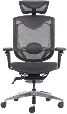 Chaise gaming REKT ergonomique RGo Max Business