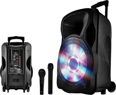 Enceinte sono PARTY LIGHT&SOUND Enceinte 800W LED/USB/BT/SD/FM+Micros