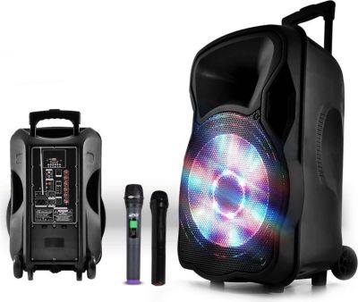 Enceinte sono PARTY LIGHT&SOUND Enceinte 800W LED/USB/BT+2mic sans-fil