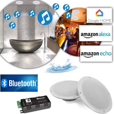 Enceinte encastrable LEISURE Kit 2 haut-parleurs coniques 5" / 80W -