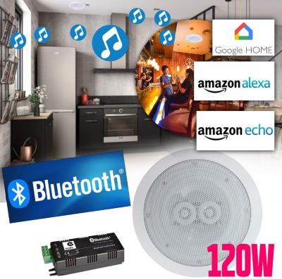 Enceinte encastrable E-AUDIO Haut-parleurs 120W plafond encastrable W