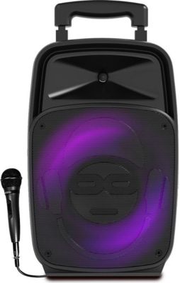 Enceinte sono IDANCE GROOVE 220