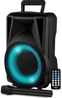 Enceinte sono FESTISOUND FESTI08 200w