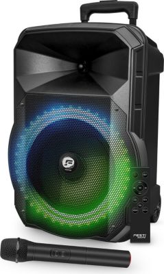 Enceinte sono FESTISOUND PICO08 200w