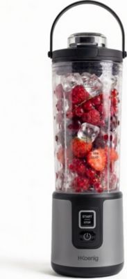 Blender H.KOENIG H.Koenig MOOTH9 Mini blender portable