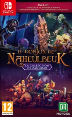Jeu Switch MICROIDS Le Donjon De Naheulbeuk La Collection De