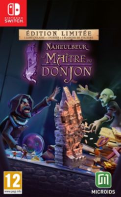 Jeu Switch MICROIDS Naheulbeuk Le Maitre Du Donjon