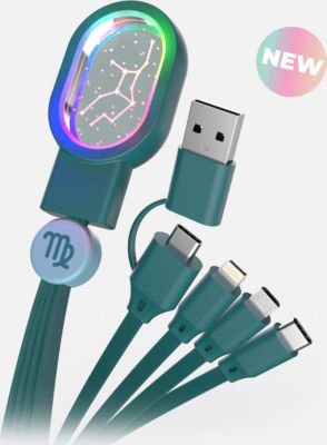 Chargeur secteur MOBILITY ON BOARD CAAST-12