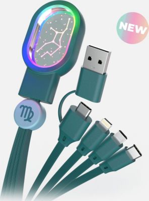 Chargeur secteur MOBILITY ON BOARD CAAST-02