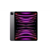 Location Tablette Apple IPAD Pro 6 M2 Wifi Noir 512Go Reconditionné Grade A