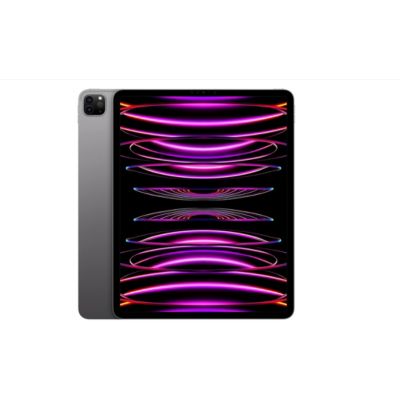 Location Tablette Apple IPAD Pro 6 M2 Wifi Noir 512Go Reconditionné Grade A