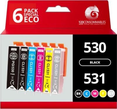 Cartouche d'encre 123CONSOMMABLES CANON PGI530/CLI531