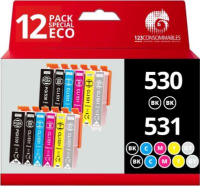 Cartouche d'encre 123CONSOMMABLES CANON PGI530/CLI531