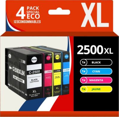 Cartouche d'encre 123CONSOMMABLES CANON PGI2500