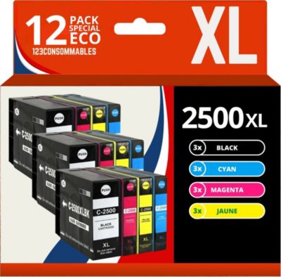 123CONSOMMABLES CANON PGI2500