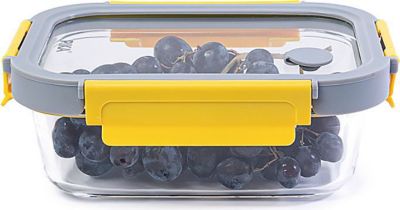 Boîte alimentaire PIKA en verre et verre trempé - GlassShock