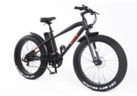 Vélo électrique ION Fat 26' - 24V-7.8AH