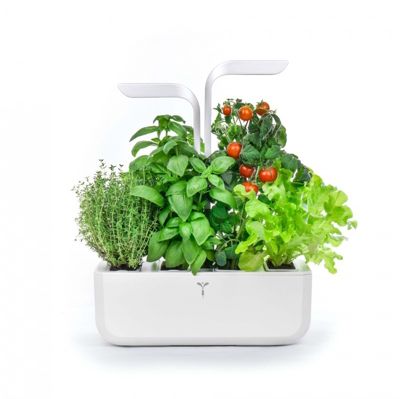 Lot de 24 Pots d'herbes aromatiques avec couvercle à vis, Set à