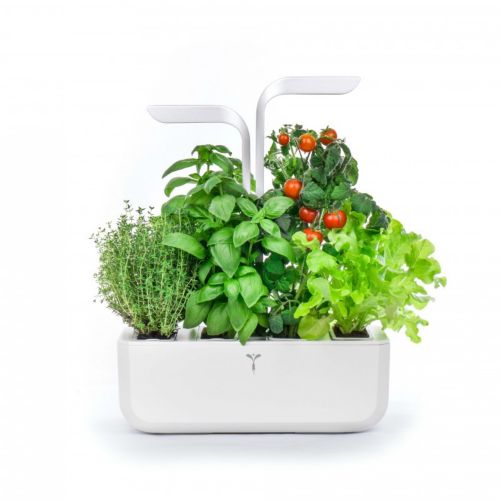 Jardinière d'intérieur - cultivez votre petit jardin intérieur