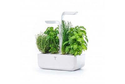 POTAGER VÉRITABLE CLASSIC