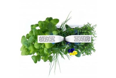 Jardin d'intérieur VERITABLE Smart Arctic White