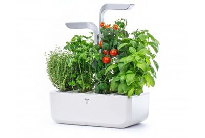 POTAGER VERITABLE SMART