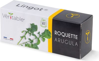 Recharge jardin d'intérieur VERITABLE Lingot Roquette BIO