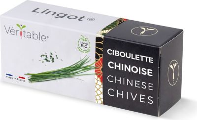 Recharge jardin d'intérieur VERITABLE Lingot Ciboulette chinoise BIO