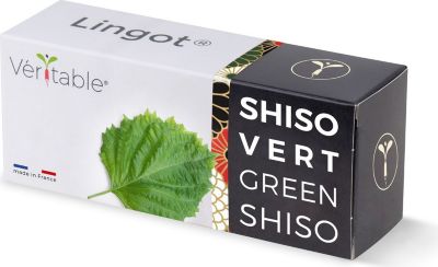 Recharge jardin d'intérieur VERITABLE Lingot Shiso vert BIO