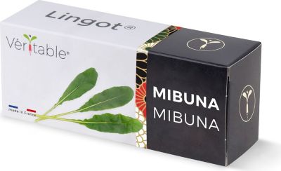 Recharge jardin d'intérieur VERITABLE Lingot Mibuna