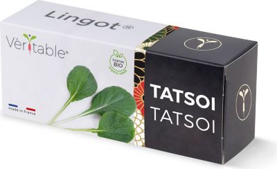 Recharge jardin d'intérieur VERITABLE Lingot Tatsoi BIO