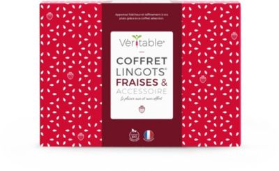 Coffret recharges jardin d'intérieur VERITABLE Fraises Coffret recharges jardin d'intérieur VERITABLE Fraises